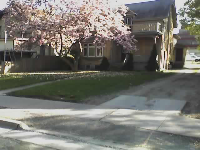 Flower tree house